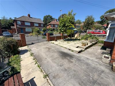 Picture 20